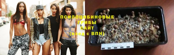 стафф Покров