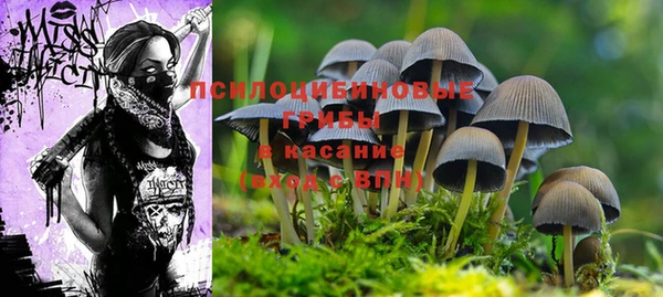mix Богородск
