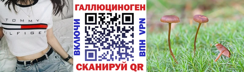 Псилоцибиновые грибы Cubensis  цены наркотик  Красный Кут 