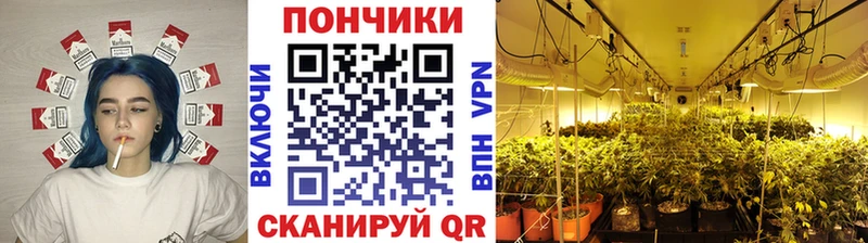 МАРИХУАНА OG Kush  Красный Кут 